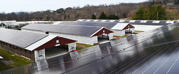 IGS Solar Helps NJ Fairground Install Solar Panels